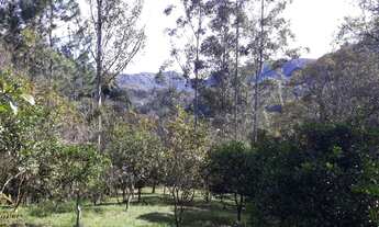 Imagem 5: Maravilhoso Sítio com duas áreas de terras no Bairro Kaffeck em Picada Café