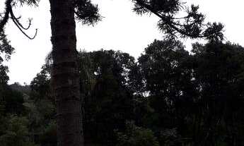 Imagem 5: Maravilhoso sitio na Linha Imperial!