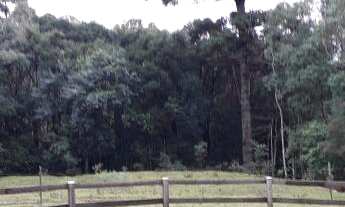 Imagem 6: Maravilhoso sitio na Linha Imperial!