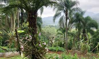 Imagem: Lindo Sítio com 5 hectares na Joaneta
