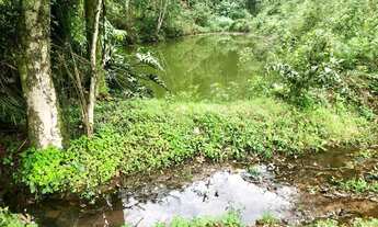 Imagem 2: Lindo Sítio com 5 hectares na Joaneta. Picada Café RS!