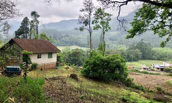 Imagem 4: Lindo Sítio com 5 hectares na Joaneta. Picada Café RS!