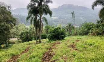 Imagem 6: Lindo Sítio com 5 hectares na Joaneta. Picada Café RS!