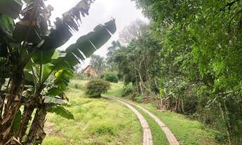 Imagem 7: Lindo Sítio com 5 hectares na Joaneta. Picada Café RS!