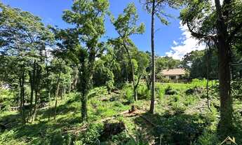 Imagem 4: Terreno amplo na Avenida 15 de Novembro! Nova Petrópolis RS