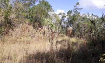 Imagem 2: Belíssima área de terra em Linha Nova RS!