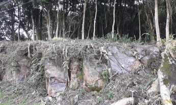 Imagem: LINDO TERRENO ALTO E PLANO NO BAIRRO VILA