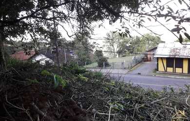 Imagem 6: LINDO TERRENO ALTO E PLANO NO BAIRRO VILA OLINDA