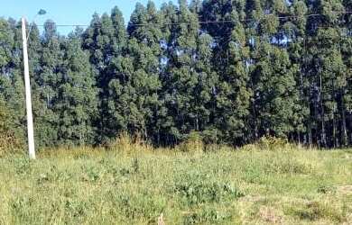 Imagem 3: Lindos terreno no loteamento Tannenwald Bairro Pinhal Pinhal Alto Nova Petrópolis RS!