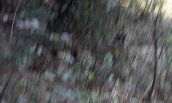 Imagem 3: OPORTUNIDADE PARA VOCÊ INVESTIDOR!