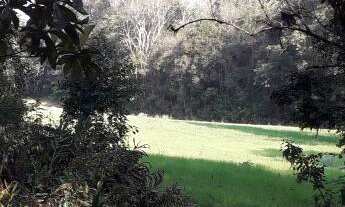 Imagem 5: OPORTUNIDADE PARA VOCÊ INVESTIDOR!