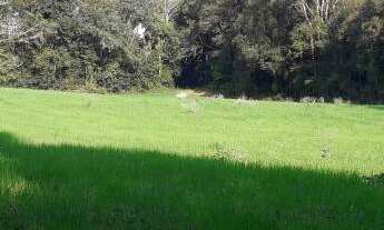 Imagem 6: OPORTUNIDADE PARA VOCÊ INVESTIDOR!