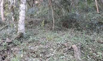 Imagem: Excelente terreno em Picada Café, RS