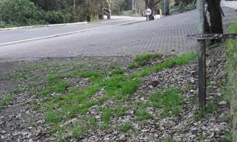 Imagem 4: Excelente terreno em Picada Café ,RS