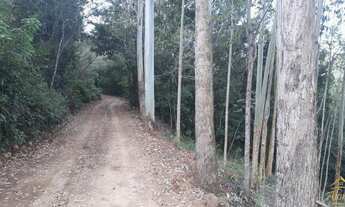 Imagem 7: Excelente área de terra em Picada Café, RS