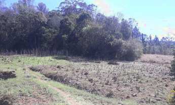 Imagem: Belíssima área de terra em Picada bairro