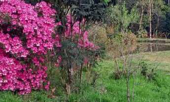 Imagem 7: Belíssimo Sítio em Linha Brasil, Nova Petrópolis RS!