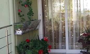 Imagem 4: Casa de cinco dormitórios no bairro Logradouro em Nova Petrópolis, RS