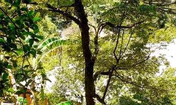 Imagem 5: Excelente casa em Morro Reuter bairro centro, RS