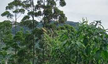 Imagem: Loteamento Villa Aquarela! Bairro Piá