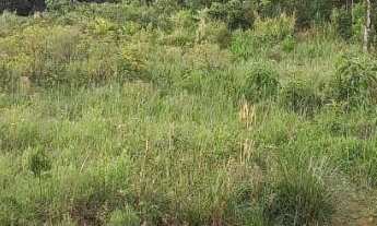 Imagem 6: Loteamento Villa Aquarela! Bairro Piá, Nova Petrópolis RS!