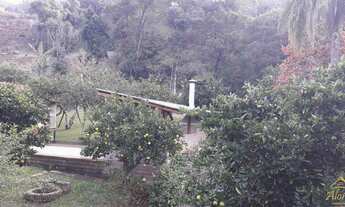 Imagem 4: Propriedade Multifuncional em Picada Café: Casa, Lazer e Oportunidade de Negócio