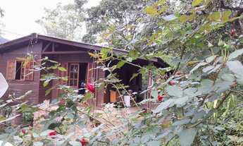 Imagem 6: Área de terra Bairro Jamerthal em Picada Café RS!!