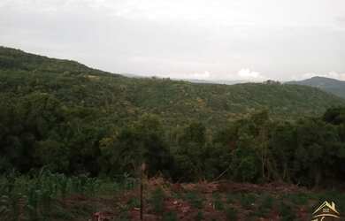 Imagem 4: Área de terra Canto Scheiblin, Linha Nova RS