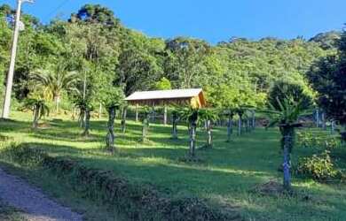 Imagem 7: Sítio com 37.501,20 m². Bairro Linha Imperial Nova Petrópolis RS!