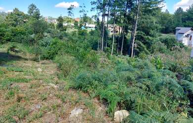 Imagem 4: Terreno com 405 metros Quadrados. Bairro Linha Imperial, Nova Petrópolis RS!