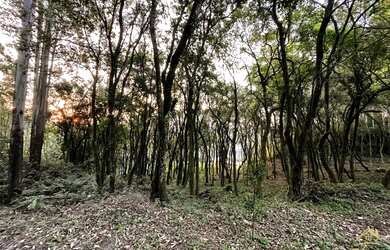 Imagem 3: Excelente área de terra com 9.203,72 metros quadrados. Bairro Linha Nova , Linha Nova!