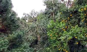 Imagem 2: Apresentamos uma bela casa com quatro dormitórios, situada no charmoso Bairro Juriti, em N