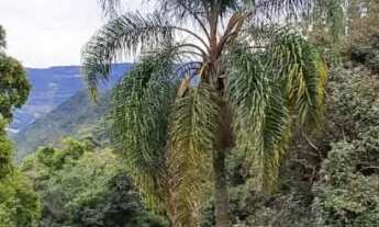 Imagem 5: Apresentamos uma bela casa com quatro dormitórios, situada no charmoso Bairro Juriti, em N