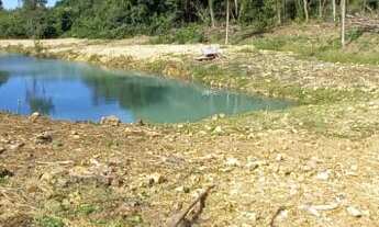 Imagem 6: Belo Sítio com 32.549,90metros quadrados. Bairro Linha Olinda , Nova Petrópolis RS!