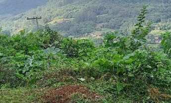 Imagem 5: Lindos terrenos no Bairro Vila Nova na cidade do Vale Real RS