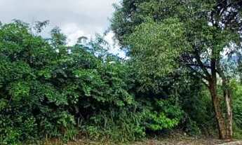 Imagem 6: Lindos terrenos no Bairro Vila Nova na cidade do Vale Real RS