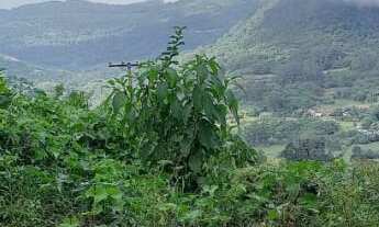 Imagem 7: Lindos terrenos no Bairro Vila Nova na cidade do Vale Real RS