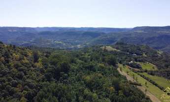 Imagem 3: Excelente área com 15.6 hectares na Linha Araripe, Nova Petrópolis RS!