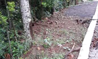 Imagem: Terreno bairro Picada Holanda Picada Café