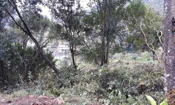 Imagem 2: Terreno bairro Picada Holanda Picada Café, RS