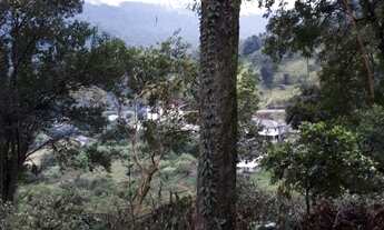 Imagem 3: Terreno bairro Picada Holanda Picada Café, RS