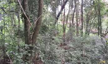 Imagem 2: Terreno bairro São João , Picada Café RS