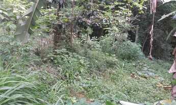 Imagem 5: Terreno bairro São João , Picada Café RS