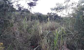 Imagem 7: Sítio bairro Capela Do Rosário, São José do Hortêncio RS