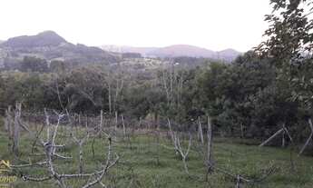 Imagem 5: Sítio bairro Capela Do Rosário, São José do Hortêncio RS