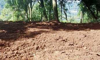 Imagem 2: Área de terra à venda bairro Floresta, Picada Café RS