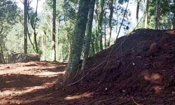 Imagem 3: Área de terra à venda bairro Floresta, Picada Café RS