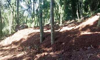 Imagem 5: Área de terra à venda bairro Floresta, Picada Café RS