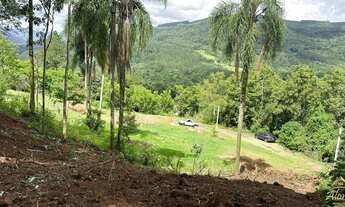 Imagem 6: Área de terra à venda bairro Floresta, Picada Café RS