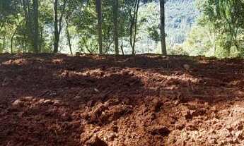 Imagem 7: Área de terra à venda bairro Floresta, Picada Café RS